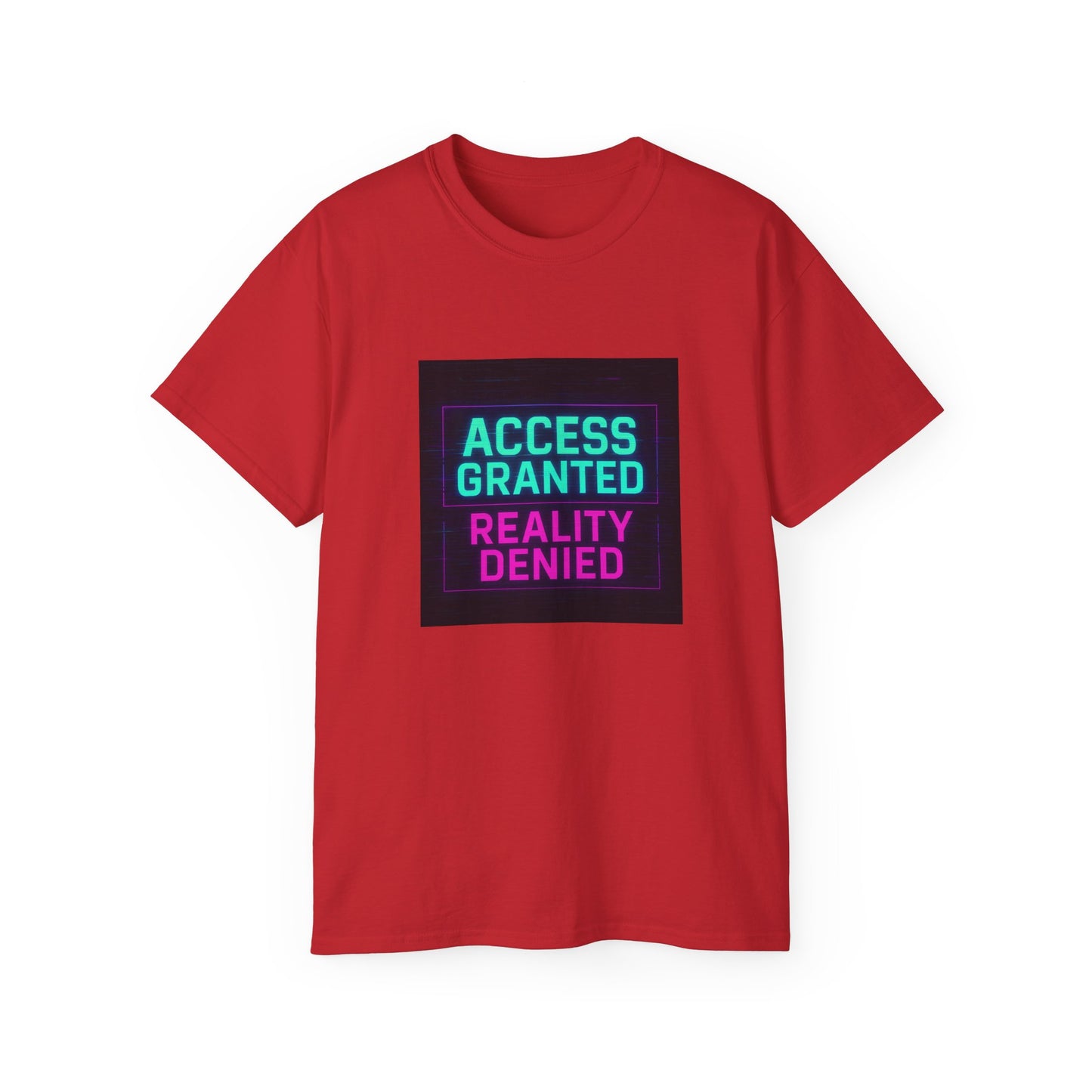 Access Granted Reality Denied